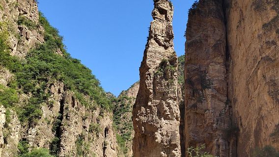 fei hu yu yi zhu xiang