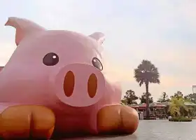 三隻小豬觀光農場