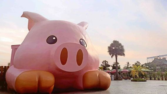 Three Little Pigs Leisure Farm