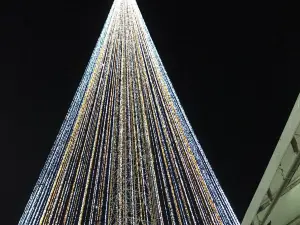 Mirassol's Christmas Tree