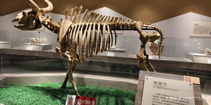 Baiyin Museum