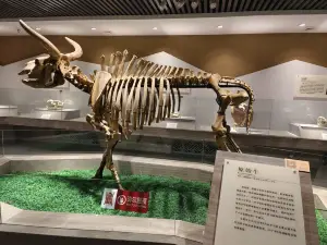 Baiyin Museum