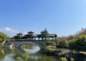 醴陵清水江桃花