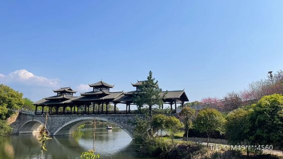 Liling Qingshui River Peach Blossom