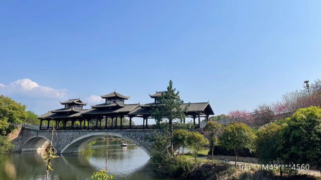 Liling Qingshui River Peach Blossom