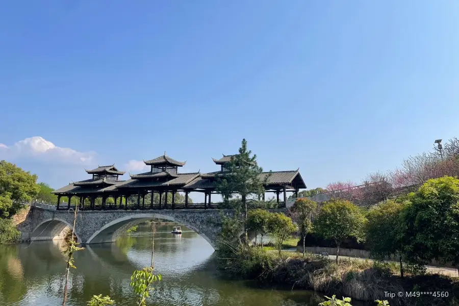 醴陵清水江桃花