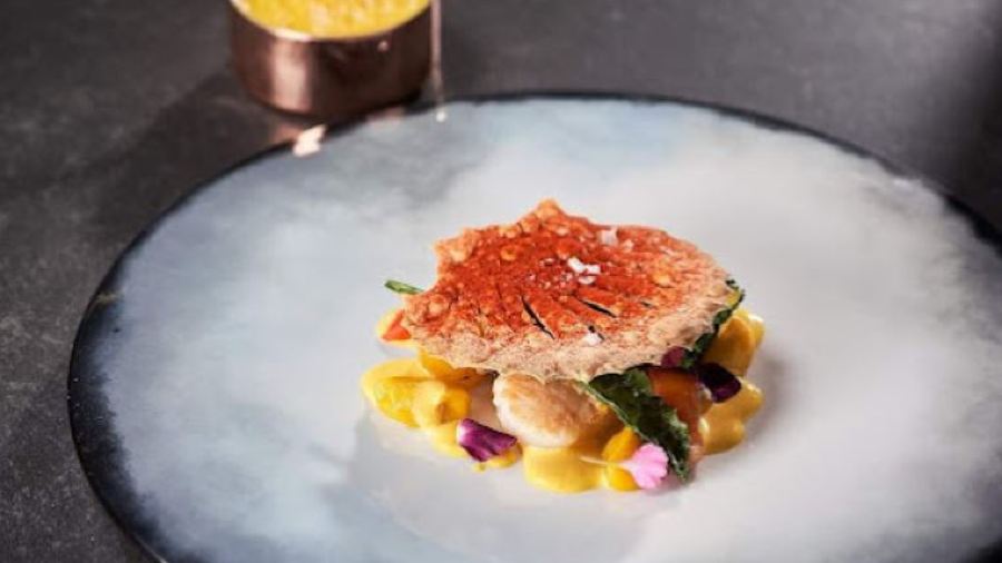 Verso Ristorante, Capitaneo