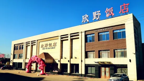 Xinye Restaurant (xinglongbao)