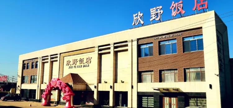 Xinye Restaurant (xinglongbao)