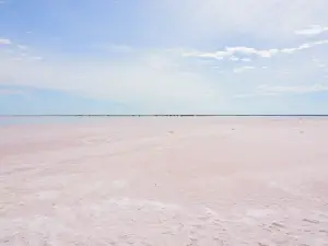 Lake Tyrrell