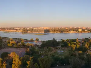 Tigris