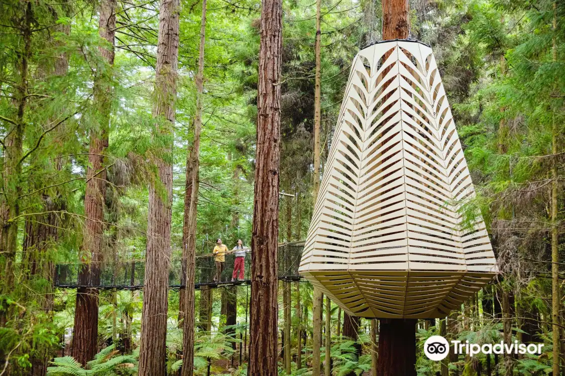 Hotels near Redwoods Treewalk