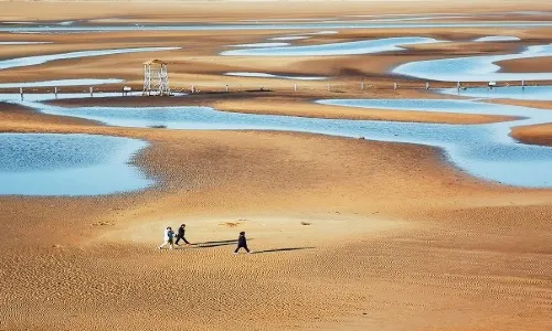 Clam Digging in Qinhuangdao