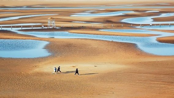 Beachcombing in Qinhuangdao