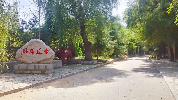 Qinhuang Ancient Road