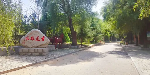 秦皇古道