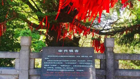 Chuxiong