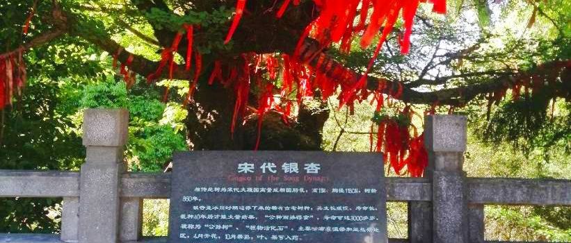Zixi Mountain Forest Park