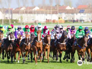 Ayr Racecourse