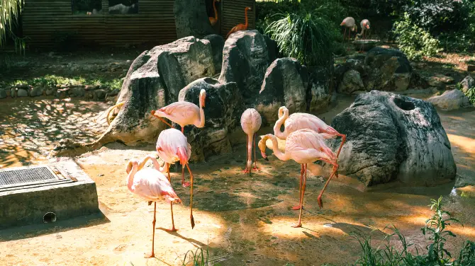 4_昆明動物園