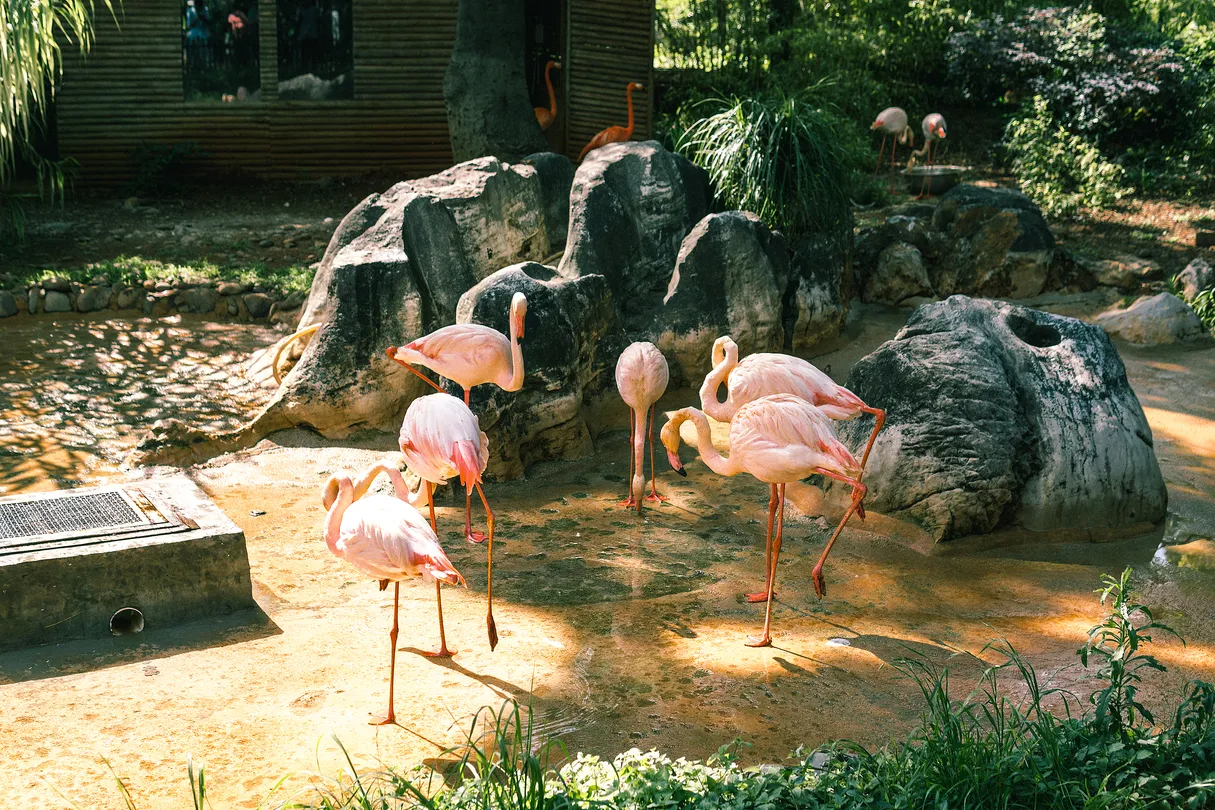 4_Kunming Zoo