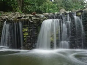 Prairie Creek Park