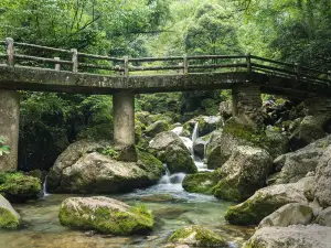 Rear Mt.Qingcheng