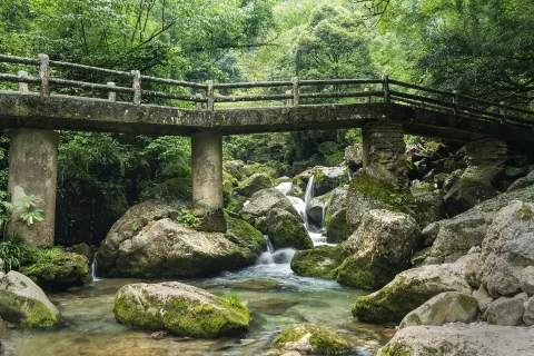 Rear Mt.Qingcheng