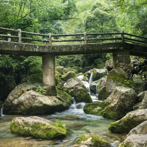 青城後山
