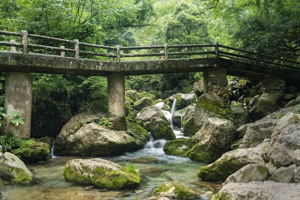 Rear Mt.Qingcheng
