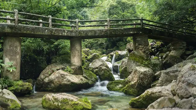 Rear Mt.Qingcheng