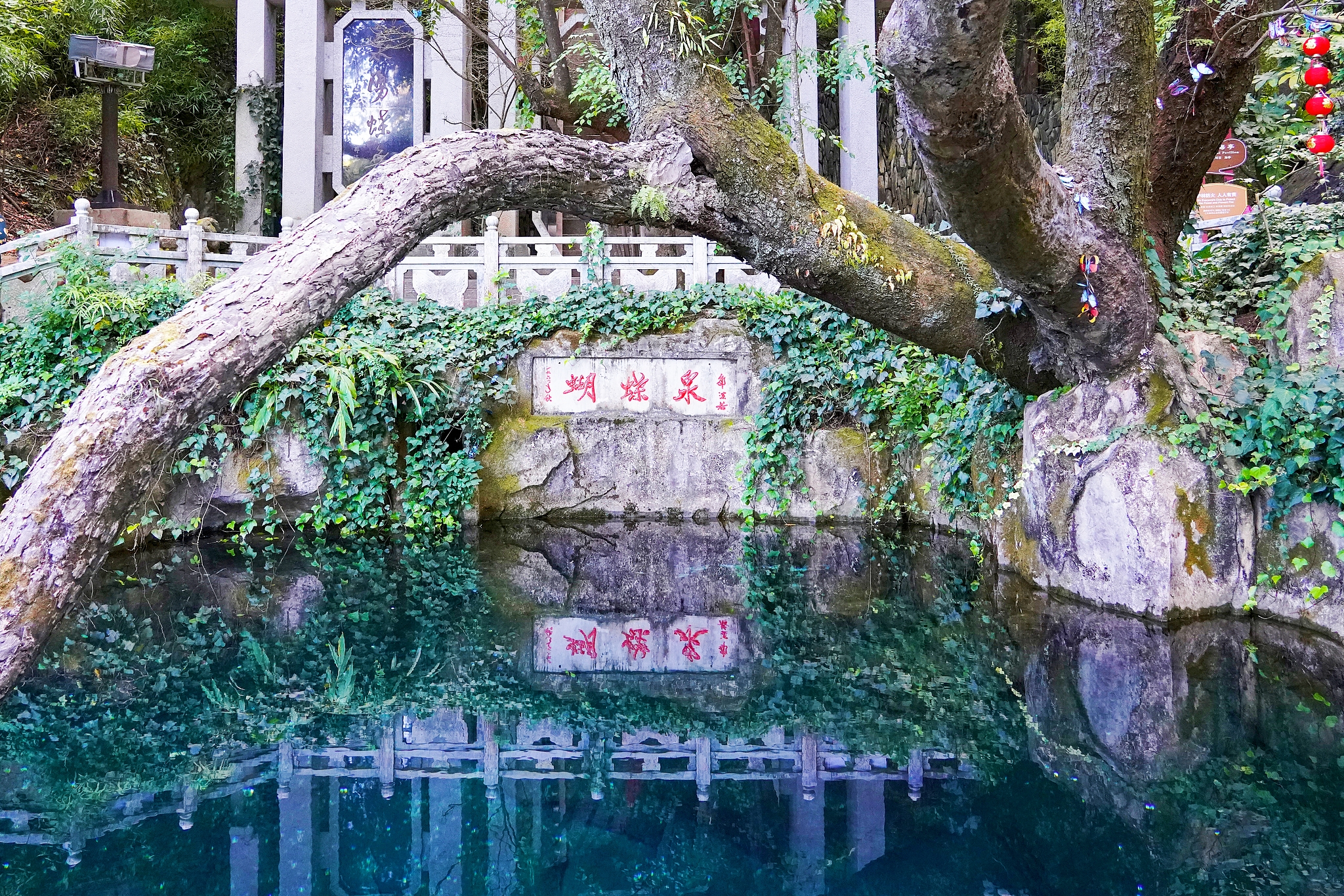 蝴蝶泉