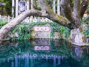 Butterfly Spring Scenic Area