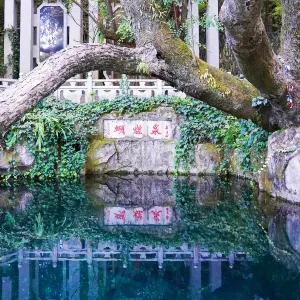蝴蝶泉