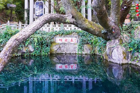 Butterfly Spring Scenic Area