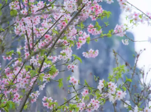 Nanxishan Scenic Area