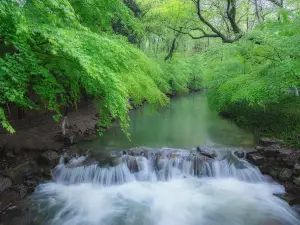 西湖的熱門玩水避暑