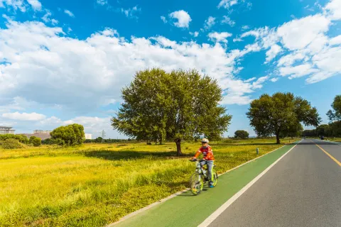 Saihantal Urban Prairie