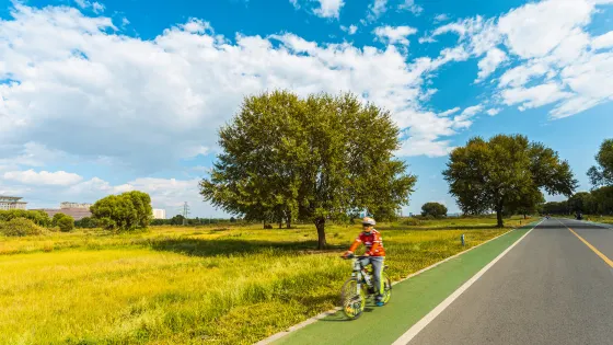 賽汗塔拉城中草原