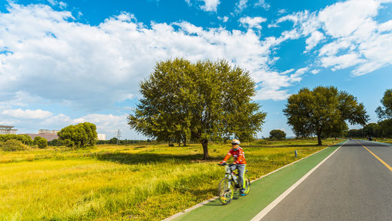 Saihantal Urban Prairie
