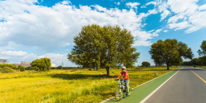 賽汗塔拉城中草原