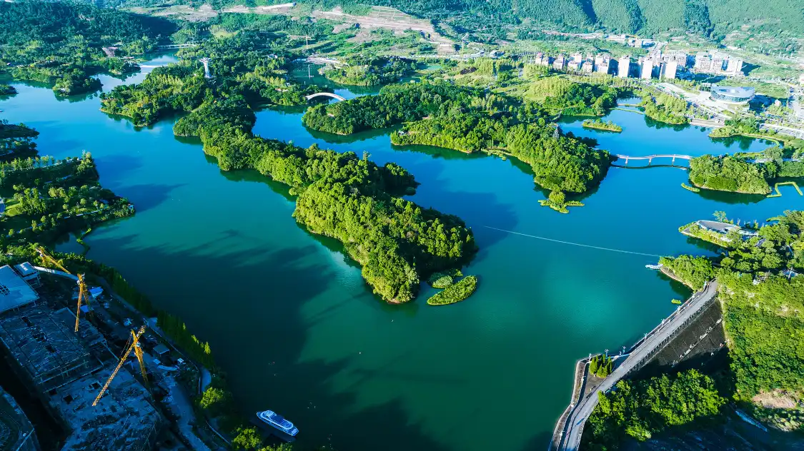 Hotels near Lotus Lake