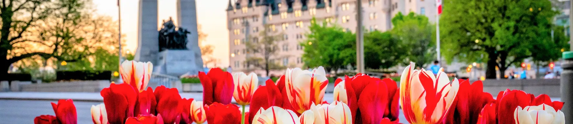Fioriture Primaverili