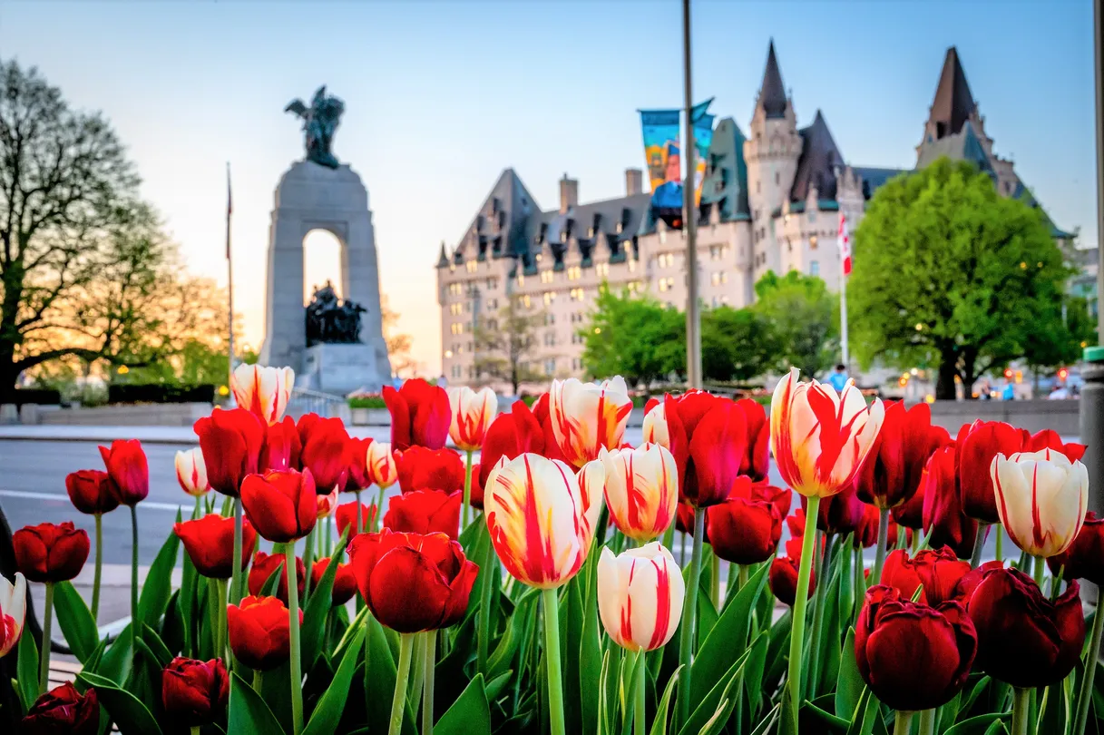 4_The National War Memorial