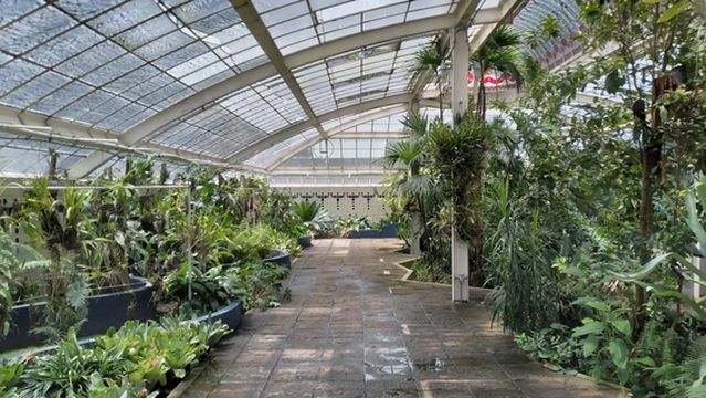 Jardín Botánico del Bosque de Chapultepec