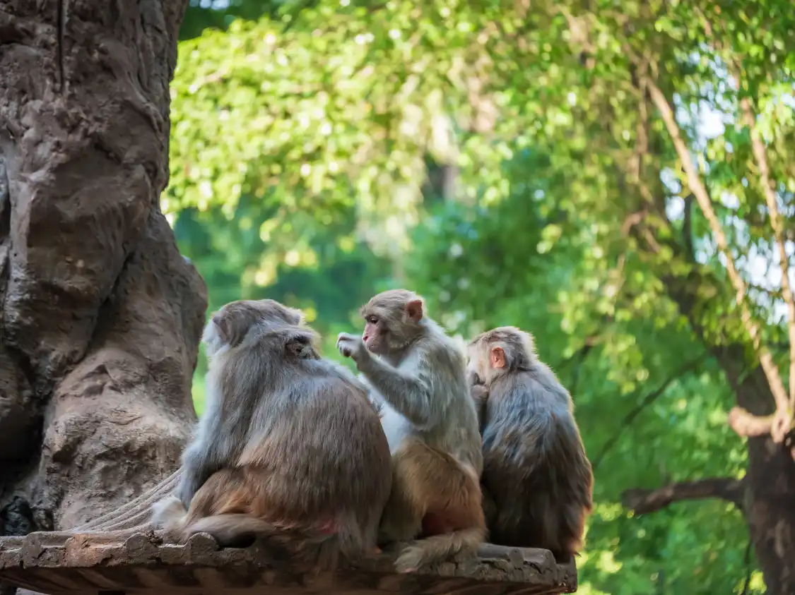 Hôtels à proximité de : Nanning Zoo