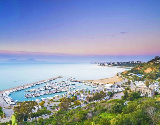 突尼斯 自由行套票