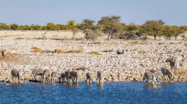 Oshana