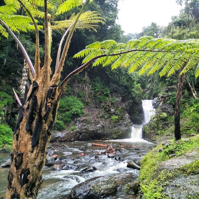 Ciwangun Indah Camp