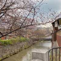 A Walk Down Memory Lane in Gion